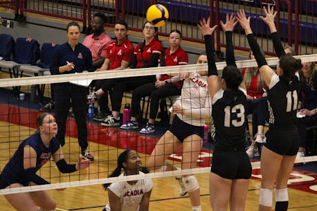 Saint Mary's wins crucial AUS volleyball match at Acadia in battle of league's top clubs