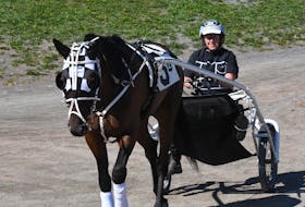 Jenn Doyle trains a horse at the Charlottetown Driving Park. Doyle was the leading trainer for Red Shores at Charlottetown Driving Park in 2023, the first woman to <a href="https://standardbredcanada.ca/news/12-31-23/2023-curtain-closes-red-shores.html" style="box-sizing: border-box; color: rgb(0, 128, 240); font-family: Lato, " helvetica="" neue",="" arial,="" "noto="" sans",="" sans-serif,="" "apple="" color="" emoji",="" "segoe="" ui="" symbol",="" emoji";="" font-size:="" 15.008px;"="" target="_blank">earn the honour</a> in the park's 135-year history. Frances Lund • Special to The Guardian