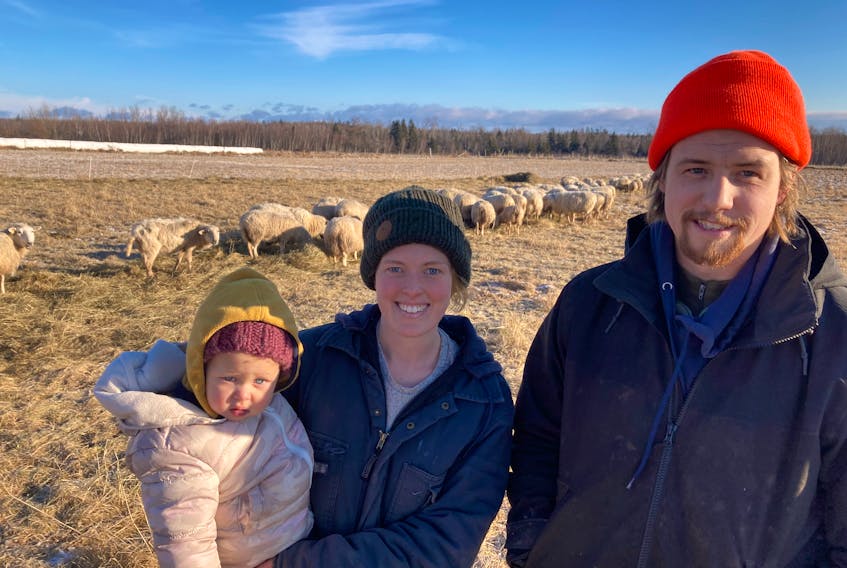 Willow, Abi and Adam Steeves are Nova Ley Farm in Wallace Bay.