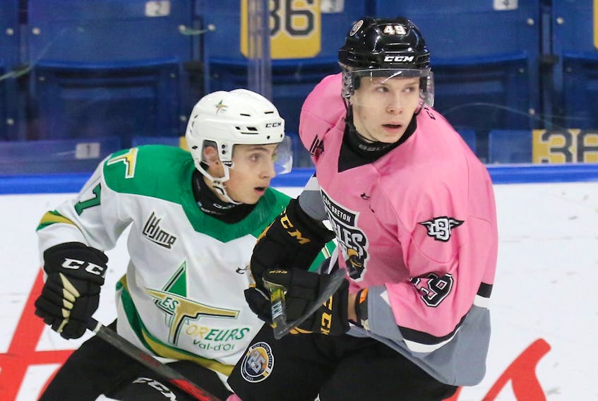 Val d'Or Foreurs defenceman Tomas Cibulka (left) skates alongside former Cape Breton Eagle Ivan Ivan in a game at Centre 200 last season. Cibulka will join the Eagles after a trade just before the Quebec Maritimes Junior Hockey League trade deadline on Saturday. In exchange, Val d'Or receives two second-round picks from Cape Breton. CAPE BRETON EAGLES PHOTO