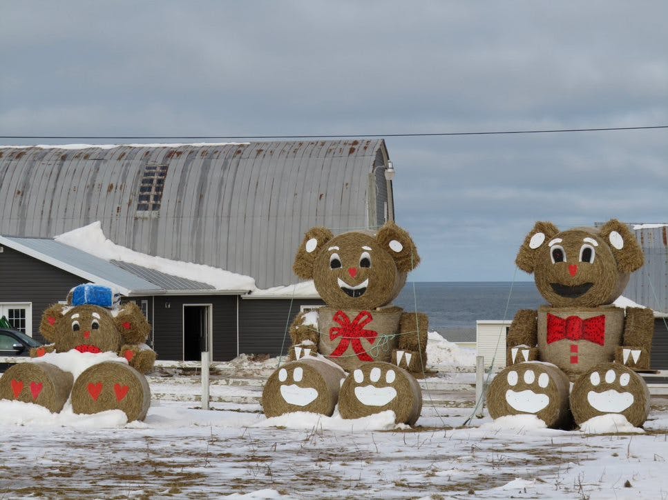 WEATHER PHOTO Happy Valentine s Day from Cavendish P.E.I. SaltWire