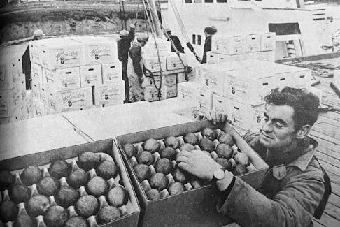 These Annapolis Valley apples were bound for Barbados and Trinidad in 1973. They were shipped from Port Williams on a refrigerated vessel and were a highlight of Nova Scotia’s 1973 foreign apple marketing campaign.