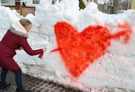 Barbara Floyd adds an arrow into one of her spray-painted hearts in the Lorway Avenue area of Sydney on Tuesday, ahead of Valentine's Day. With two spray bottles of red food colouring, Floyd painted several hearts on the still-towering snowbanks along the street, which have stood since the mega-snowstorm pummelled Cape Breton more than a week ago. Along with being a happy sight for many people's drives home from work, Floyd said she was doing it to surprise her great-granddaughter after school. LUKE DYMENT/CAPE BRETON POST