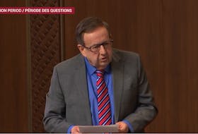 Sen. Percy Downe is shown in the Senate sitting on Feb. 8, where he called for mandatory security checks on all international students arriving in Canada, as well as raised the question of what security checks will be conducted on those coming from Gaza. - Screen grab