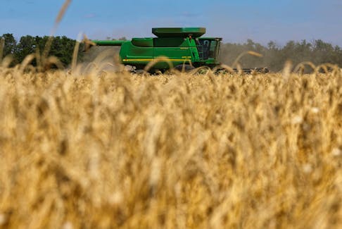 A combine harvests wheat in a field in the course of Russia-Ukraine conflict near the settlement of Nikolske in the Donetsk Region, Russian-controlled Ukraine, July 19, 2023.