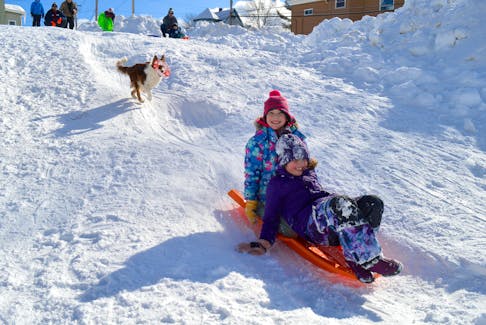 Nora Ryder, front, and Willow Hollohan coast down the snowy slope at Ashby Corner Park in Sydney as Roxy the dog gives chase on Monday. The sunshine and brisk temperatures made for ideal conditions for families to enjoy outdoor activities on the Heritage Day holiday after successive storms left many people confined to their homes recently. CHRIS CONNORS/CAPE BRETON POST