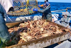 The Association of Seafood Producers is seeking damages for costs incurred as a result of the delayed start to the 2023 snow crab fishery after an arbitrator ruled that the union representing fish harvesters violated legislation by authorizing the tie-up. – Contributed