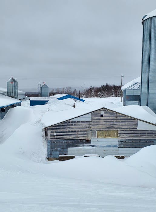 ‘I was surprised to see that one come down’: Famous farming family’s barn couldn’t weather historic Cape Breton snowstorm