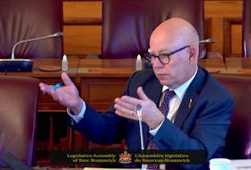 Green Leader David Coon says large portions of information he asks for from the provincial government are routinely blacked out.