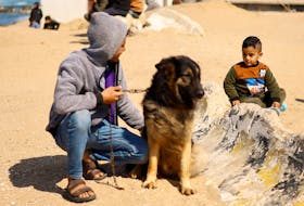A displaced Palestinian boy looks at Hassan Abu Saman as he holds his dog, amid the ongoing conflict between Israel and the Palestinian Islamist group Hamas, in Rafah, in the southern Gaza Strip, February 20, 2024.