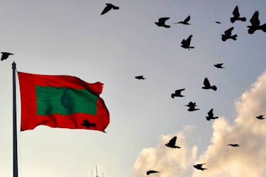 A Maldives national flag flutters as pigeons fly past during the morning in Male February 8, 2012.