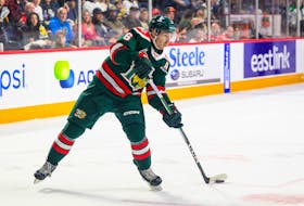Halifax Mooseheads centre Markus Vidicek had two goals and two assists in a 5-2 road win over the Sherbrooke Phoenix on Thursday. - QMJHL