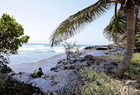 An area affected by an oil spill in Tobago Island, Trinidad and Tobago, is seen in this handout taken February 11, 2024. Office of the Chief Secretary - THA/Handout via