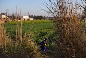 A nihang or Sikh warrior walks in a field next to a site where farmers are marching towards New Delhi to press for the better crop prices promised to them in 2021, at Shambhu Barrier, a border between Punjab and Haryana states, India, February 22, 2024.