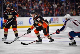 Feb 21, 2024; Anaheim, California, USA; Anaheim Ducks right wing Troy Terry (19) moves the puck against Columbus Blue Jackets right wing Justin Danforth (17) during the third period at Honda Center. Mandatory Credit: Gary A. Vasquez-USA TODAY Sports/ File Photo