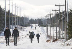 Walking the line
With the mercury rising to 4C at one point in the early afternoon on Sunday, Feb. 11, 2024, many people took to the Parkers Pond walking trail in Airport Heights in St. John's. — 
Joe Gibbons/The Telegram