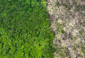 An aerial view shows a deforested area during an operation to combat deforestation near Uruara, Para State, Brazil January 21, 2023.