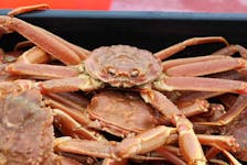If the theory is that Nova Scotia buyers would be eager to buy crab from Newfoundland and Labrador, and pay more than $2.25 for it, then it’s time for a reality check, said Osborne Burke, president of the Nova Scotia Seafood Alliance, who also manages Victoria Co-operative Fisheries Ltd., in the northern Cape Breton community of New Haven. CONTRIBUTED