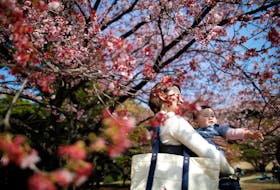 A seven-month-old baby and her mother look at early flowering Kanzakura cherry blossoms in full bloom at the Shinjuku Gyoen National Garden in Tokyo, Japan March 14, 2018. 