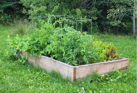 Raised garden beds and regular additions of organic matter can improve the texture of your soil, says Helen Chesnut.