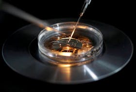 A medical lab technologist operates an embryo vitrification during an intra cytoplasmic sperm injection process (ICSI) at a laboratory in Paris, France, September 13, 2019.