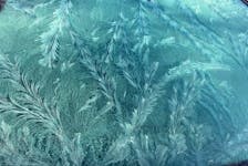 Brenda Main caught these intricate fern frost designs on her windshield in Kentville, N.S. -Contributed