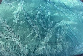 Brenda Main caught these intricate fern frost designs on her windshield in Kentville, N.S. -Contributed