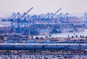 Container ships are shown at the Port of Los Angeles from San Pedro, California, U.S., June 23, 2023.  
