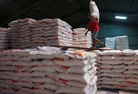 A worker carries a sack of rice at the warehouse in Jakarta, Indonesia, February 13, 2024.