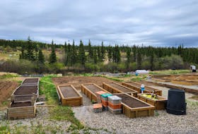 The community gardens in Labrador West.