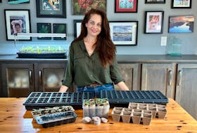 Container options for seed starting include cell packs and trays, biodegradable pots, soil cubes, and upcycled items like egg cartons.