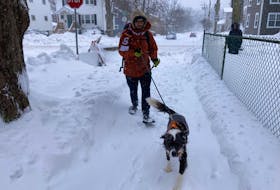 Cameron Bartlett and his pooch Teemu braved the elements as they made their way up Seaforth Street in Halifax on Sunday