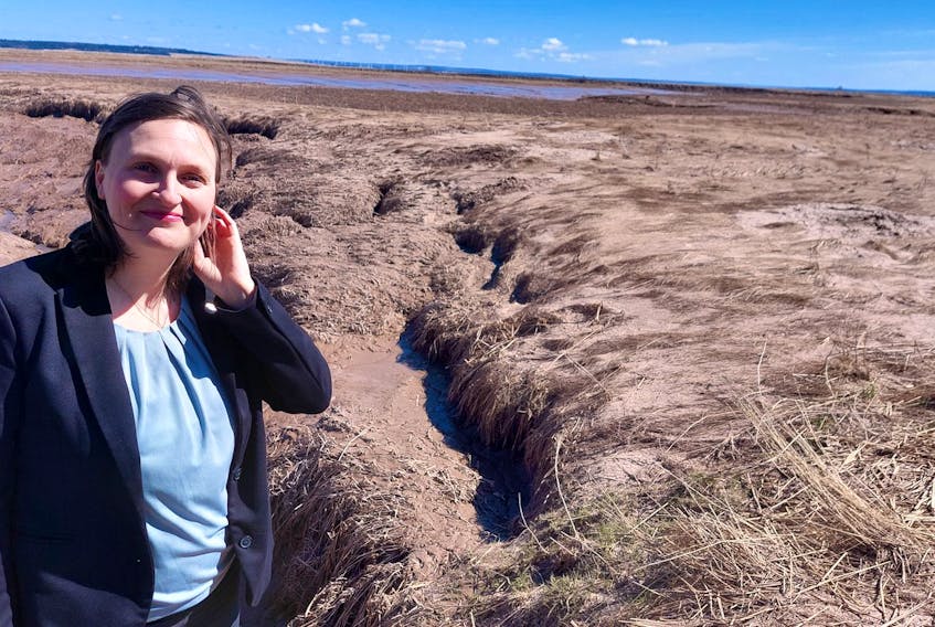 New Brunswick Green MLA Megan Mitton is disturbed that there are no backup plans to protect the Trans-Canada highway and other vital infrastructure if this dyked lowland near Sackville is swamped by a huge storm.