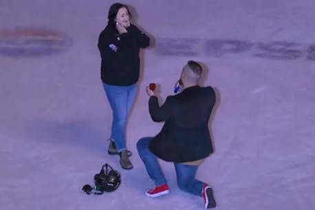 WATCH: Newfoundland Growlers game crew member proposes during intermission