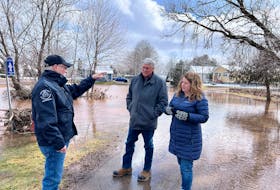 Public Safety Minister Kris Austin, left, Transportation and Infrastructure Minister Richard Ames, centre, and Tourism, Heritage and Culture Minister Tammy Scott-Wallace, right, assess flood damage in Sussex, N.B. - Contributed