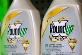Bottles of Roundup, a brand owned by Bayer, are seen for sale in a store in Manhattan, New York City, U.S., June 30, 2022.