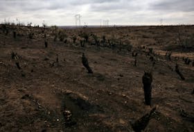 A landscape charred by wildfires is pictured near Borger, Texas, U.S., February 29, 2024.