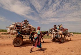 A Sudanese woman, who fled the conflict in Murnei in Sudan's Darfur region, walks beside carts carrying her family belongings upon crossing the border between Sudan and Chad in Adre, Chad August 2, 2023.