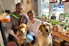 Curtis Wells and Stephanie Wells are enjoying their new life in Corner Brook. The couple are the owners of Plants & Things on West Street. Their dogs, Freyja, left, and Finley are regular fixtures at the shop. - Diane Crocker/SaltWire