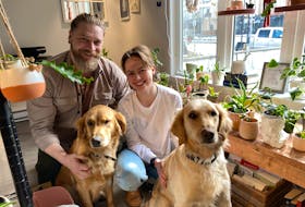 Curtis Wells and Stephanie Wells are enjoying their new life in Corner Brook. The couple are the owners of Plants & Things on West Street. Their dogs, Freyja, left, and Finley are regular fixtures at the shop. - Diane Crocker/SaltWire