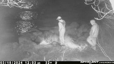 Alleged elver poachers on the Hubbards River. The picture was taken with a motion sensor operated hunting camera.