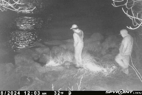 Alleged elver poachers on the Hubbards River. The picture was taken with a motion sensor operated hunting camera.