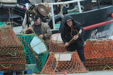 These two fishermen carry out maintenance work on these shown crab pots as they prepare the pots for the upcoming crab fishery as they go about their work alongside the fishing vessel Covenant II near the Small Boat Basin on the Southside Road area of St. John’s Harbour on Wednesday, March 29, 2023. -Photo by Joe Gibbons/The Telegram