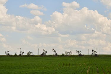 A view shows oil pump jacks outside Almetyevsk in the Republic of Tatarstan, Russia June 4, 2023.