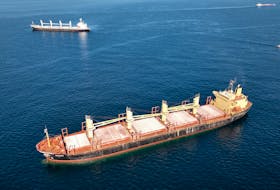 Cargo ship Rubymar, carrying Ukrainian grain, is seen in the Black Sea off Kilyos near Istanbul, Turkey November 2, 2022.