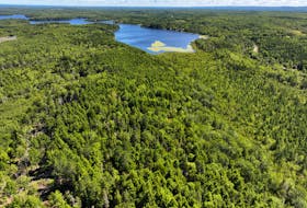 The Nature Conservancy of Canada will be protecting 37 hectares of forest, lakeside, and wetlands near Tatamagouche thanks to a new land donation from the Bonnyman family.