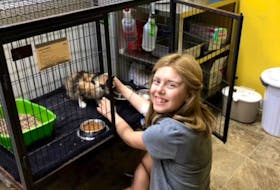 Leigh-Anne Cox gives some love to a cat at the Cape Breton SPCA, a place she started volunteering at from a young age. CONTRIBUTED
