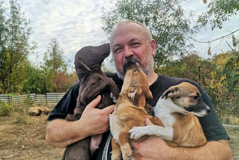 Duane Taylor helping move puppies from their kennels to the open-air run at the Datcha Animal Shelter. - Contributed