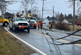 A motorist knocked out power in Hants Border after colliding with a power pole, fire hydrant and tree March 26.