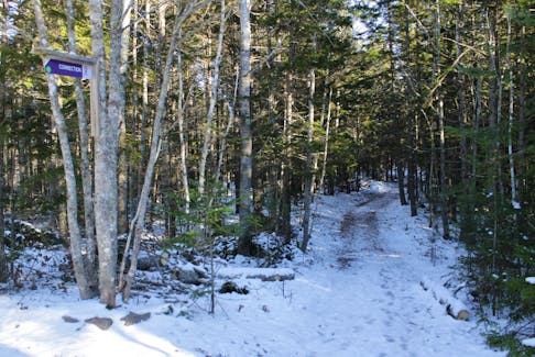 The Railyard Mountain Bike Park in Truro is a perfect spot for fat biking in the winter time.
